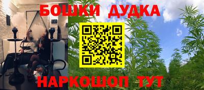 молекула духа Котовск